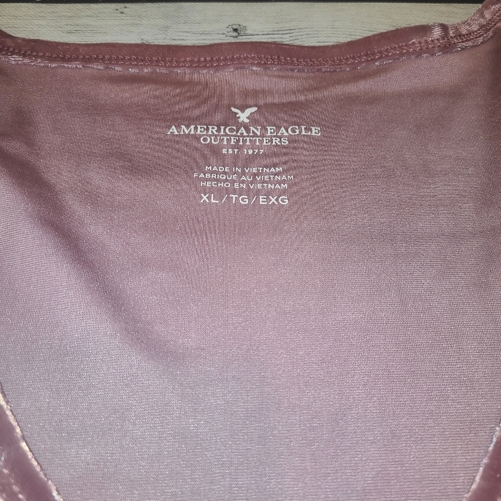 American Eagle Outfitters Pink to Purple Velvet Short Sleeve Tee - Picture 3 of 5